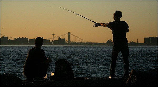 For complete details and schedule, see hudsonriverpark.com